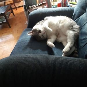 Meet your Posher, Dave